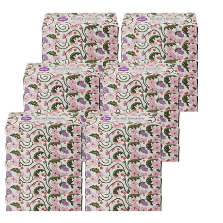 Pañuelo facial Natural Value de 2 capas, paquete de 100 unidades, estuche de 30