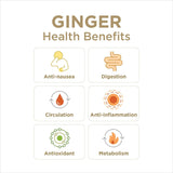 Ginger health benefits infographic with icons and text on a white background