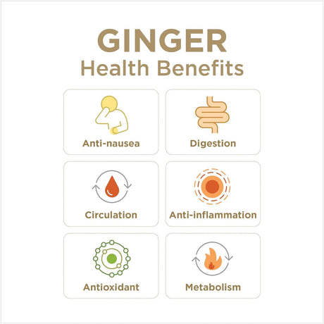 Ginger health benefits infographic with icons and text on a white background