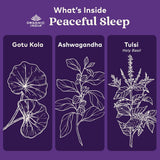Illustrations of Gotu Kola, Ashwagandha, and Tulsi with Organic India logo on a purple background