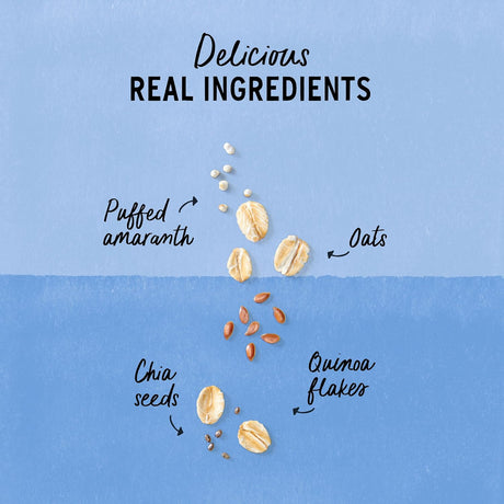 Illustration of puffed amaranth, oats, chia seeds, and quinoa flakes on a blue background with text indicating 'Delicious Real Ingredients'.