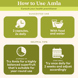 Instructions on how to use Amla with icons and text on a green background
