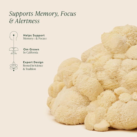 Lion's mane with text about memory, focus, and alertness on a beige background