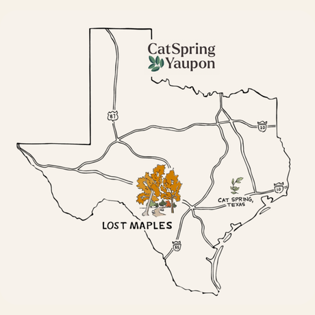 Case of Lost Maples Medium Roast Yaupon – Bold & Complex  –  Loose Leaf & Tea bags