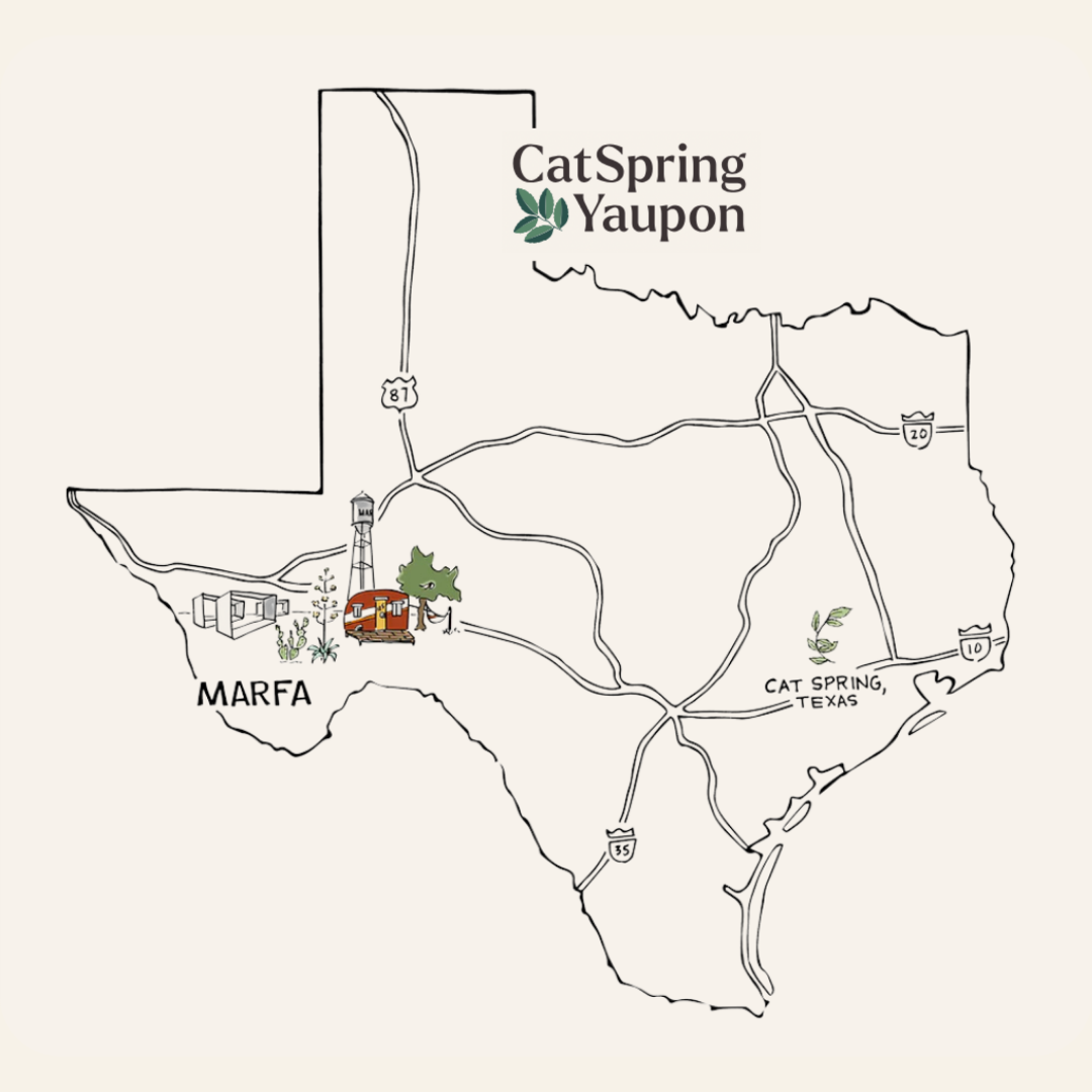 Marfa Dark Roast Yaupon — Black Yaupon Tea — Tea Bags (16 ct)