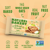 Nature's Bakery Oatmeal Crumble Apple (Pack of 6 - 8.46 Oz. Each) 