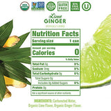 Nutrition facts label for Can of Nixie Lime Ginger Sparkling Water lime ginger flavored drink with lime and ginger ingredients.