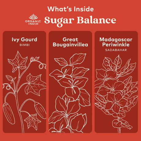 Illustrations of Ivy Gourd, Great Bougainvillea, and Madagascar Periwinkle with Organic India branding on a red background.