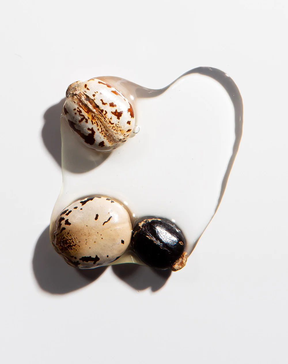 Heritage Products Pure Castor Oil, Hexane-Free, 8 Fl Oz - Cozy Farm 