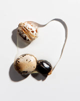 Heritage Products Pure Castor Oil, Hexane-Free, 8 Fl Oz - Cozy Farm 