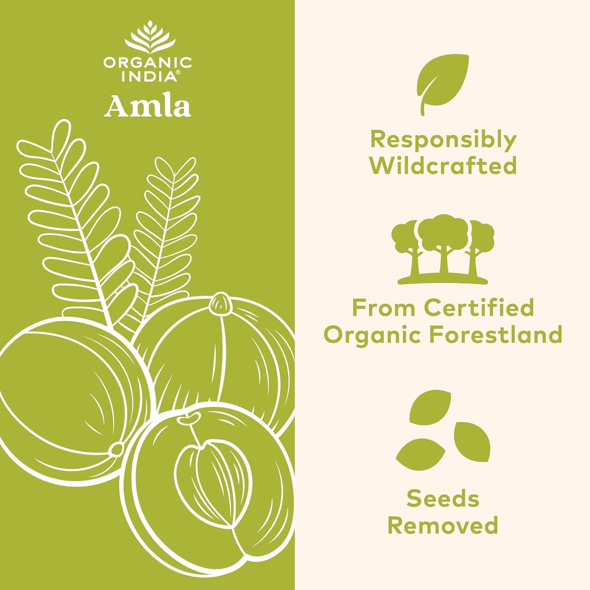Organic India Amla product packaging with illustrations and text on a green and white background.