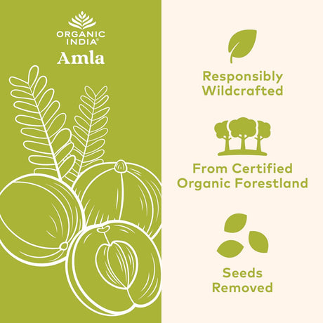 Organic India Amla product packaging with illustrations and text on a green and white background.