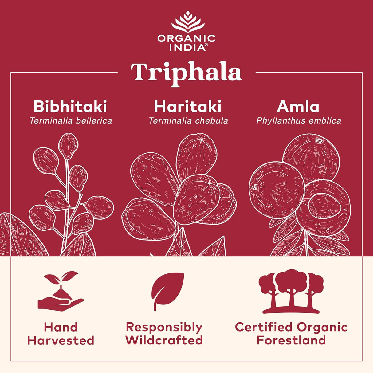 Organic India Triphala product with illustrations and text on a red background