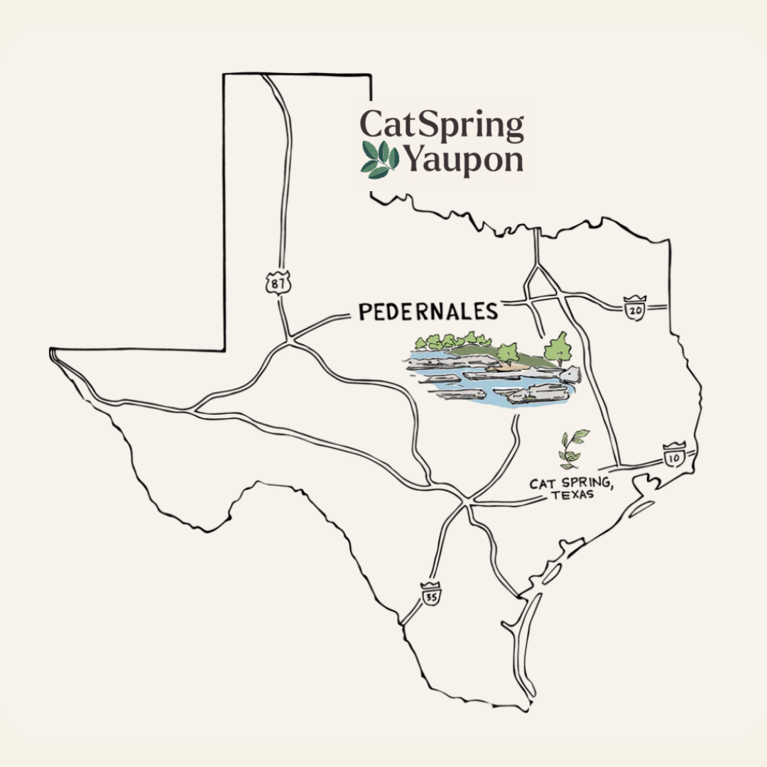 Case of Pedernales Green Yaupon – Green Yaupon – Loose Leaf & Tea bags