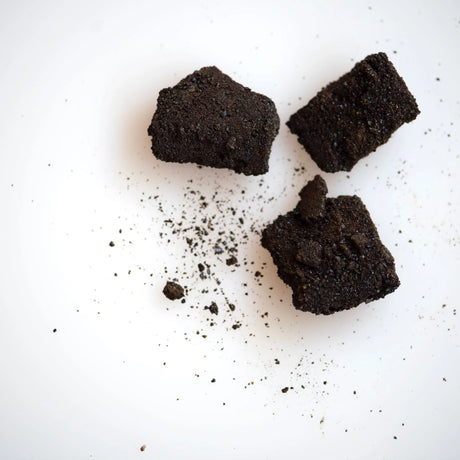 Three pieces of propolis  on a white background