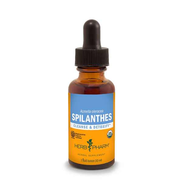Herb Pharm - Spilanthes - 1 Each-1 Fz - Cozy Farm 