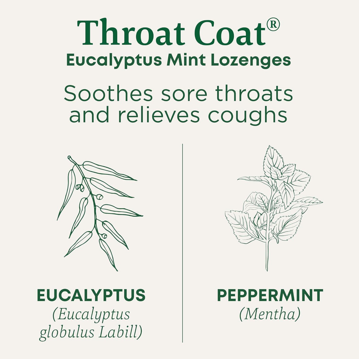 Advertisement for Throat Coat Eucalyptus Mint Lozenges with botanical illustrations and text on a white background.