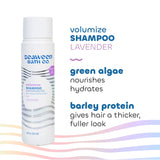 The Seaweed Bath Co Volumizing Lavender Shampoo for Fuller, Bouncy Hair (12 Fl Oz)