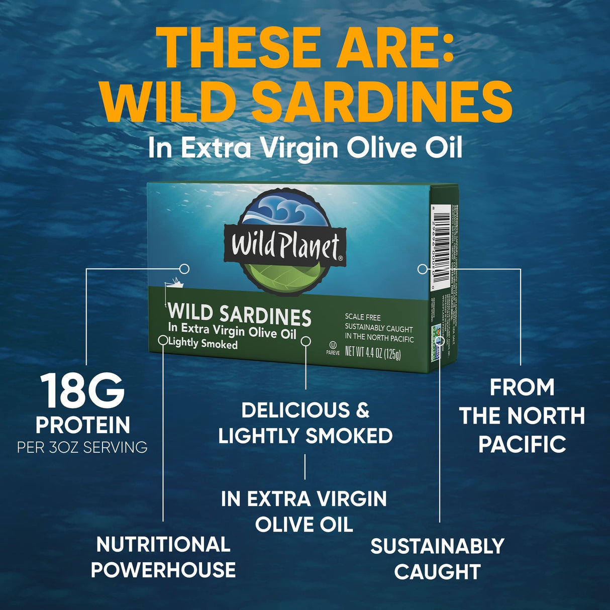  Wild Planet wild sardines in extra virgin olive oil with product packaging and ocean background.