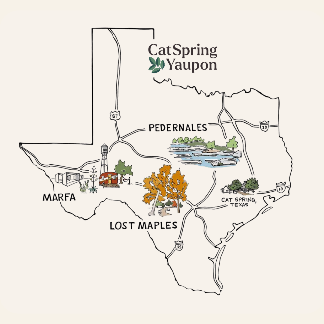 Multipack Yaupon Tea - 3 boxes of Yaupon Tea Bags (48 Count)