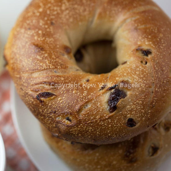New York Apple Cinnamon Raisin Bagels, Fresh Hand-Rolled NYC Bagels, Gift Box