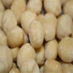 Macadamia Nuts, 5 Lb | Premium Quality Raw Macadamia Nuts - Cozy Farm 