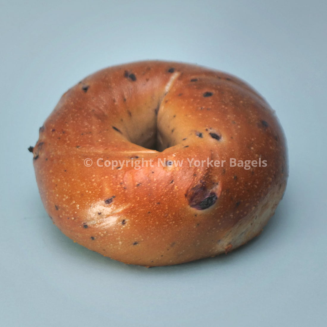 New York Blueberry Bagels, Fresh Hand-Rolled NYC Bagels, Gift Box
