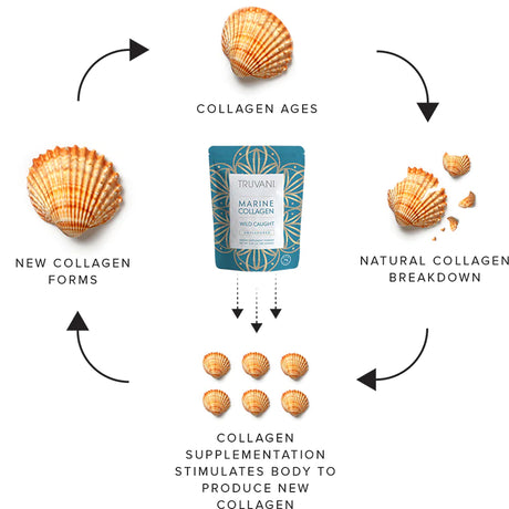 Truvani Marine Collagen Powder Unflavored 6.35oz - Cozy Farm 