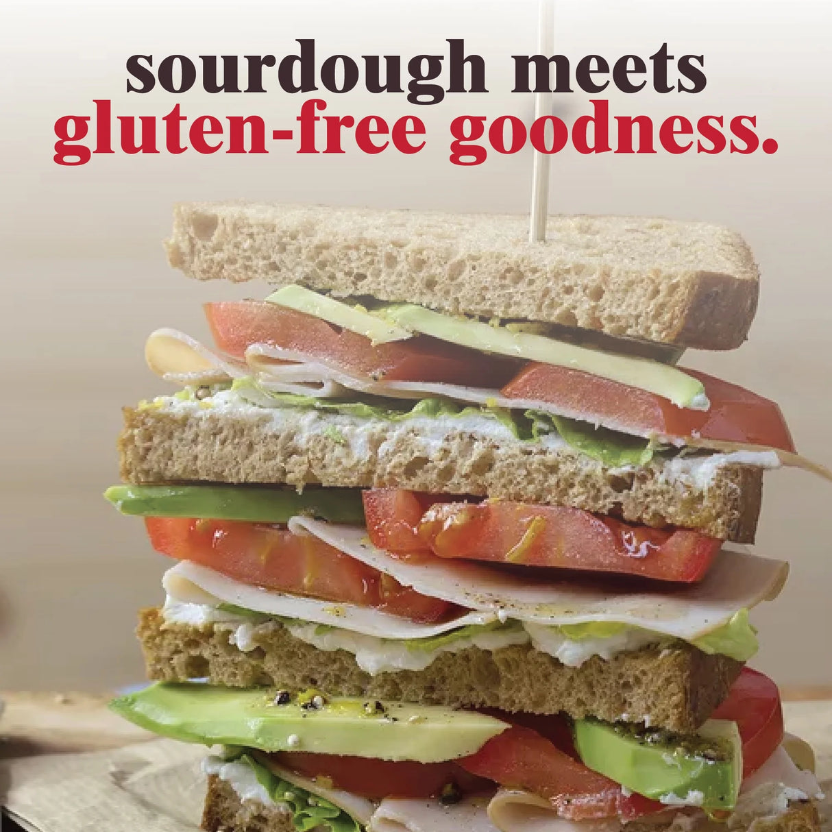 Schar Gluten-Free Artisan Baker 10 Grains & Seeds Bread, 14.1 oz, Pack of 8