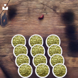 Woodstock Farms Pumpkin Raw Tub - 10.5 Oz - 12-Pack