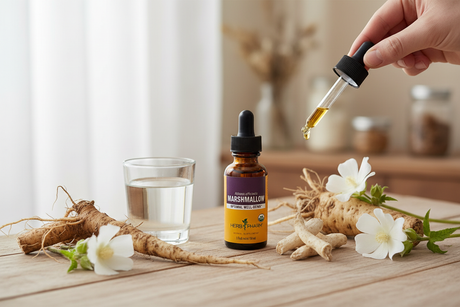 Herb Pharm Marshmallow Extract with botanical ingredients