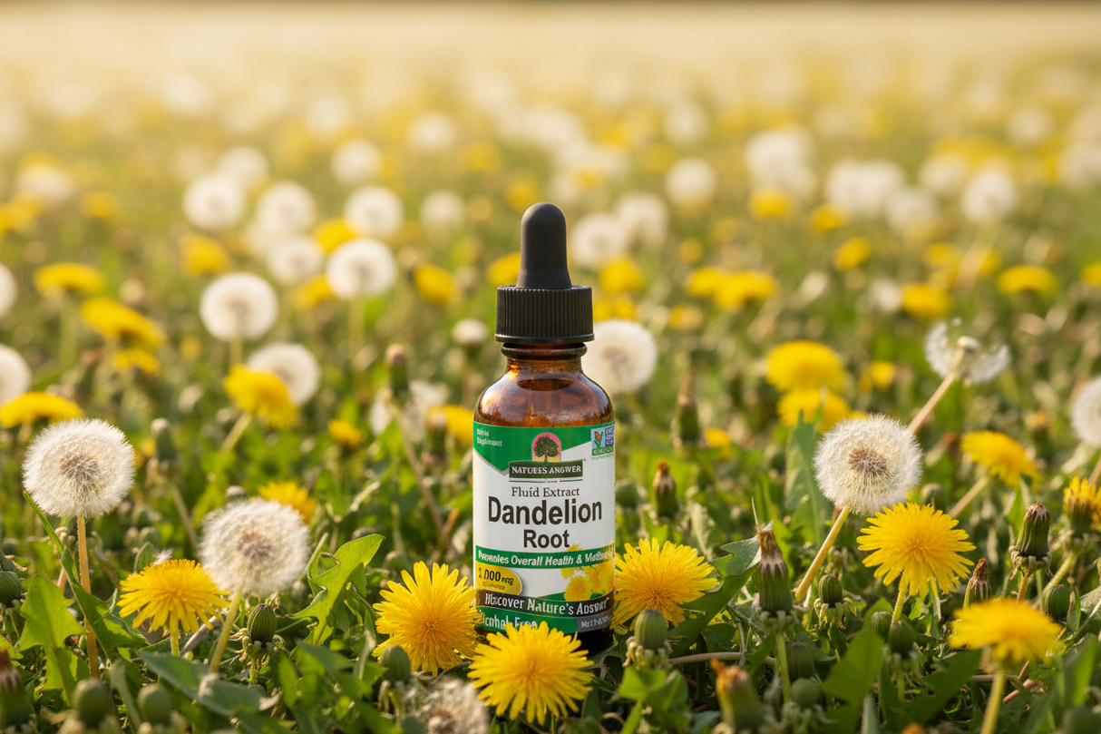 Nature's Answer Dandelion Root Extract in dandelion field