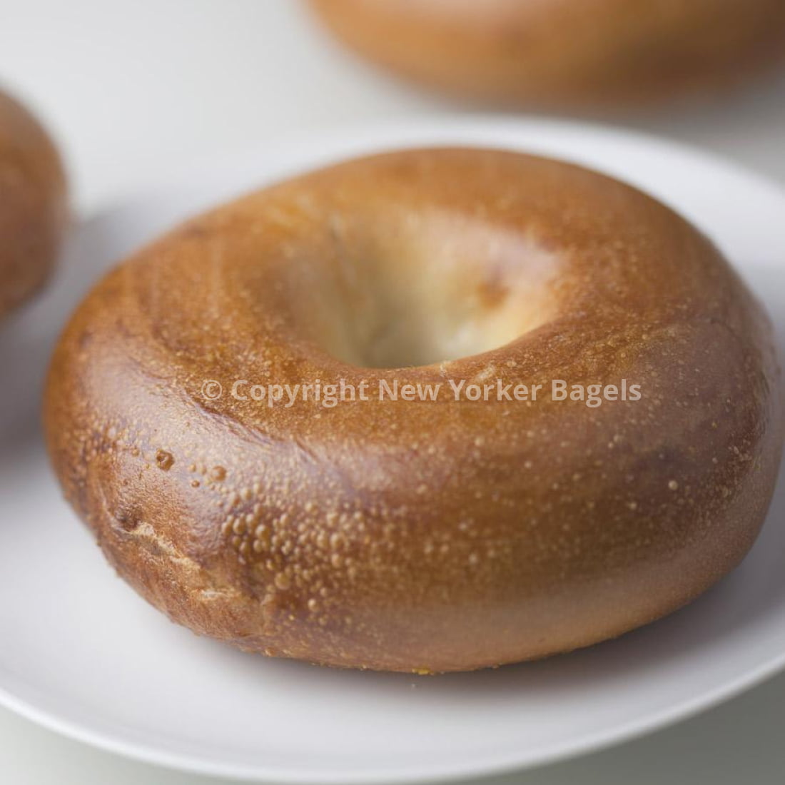 New York Plain Bagels, Fresh Hand-Rolled NYC Bagels, Gift Box