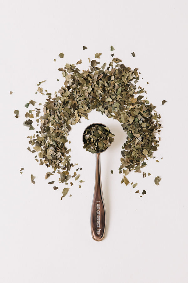Perfect Tea Spoon – Precise 1 tbsp Measure for Loose Leaf Yaupon