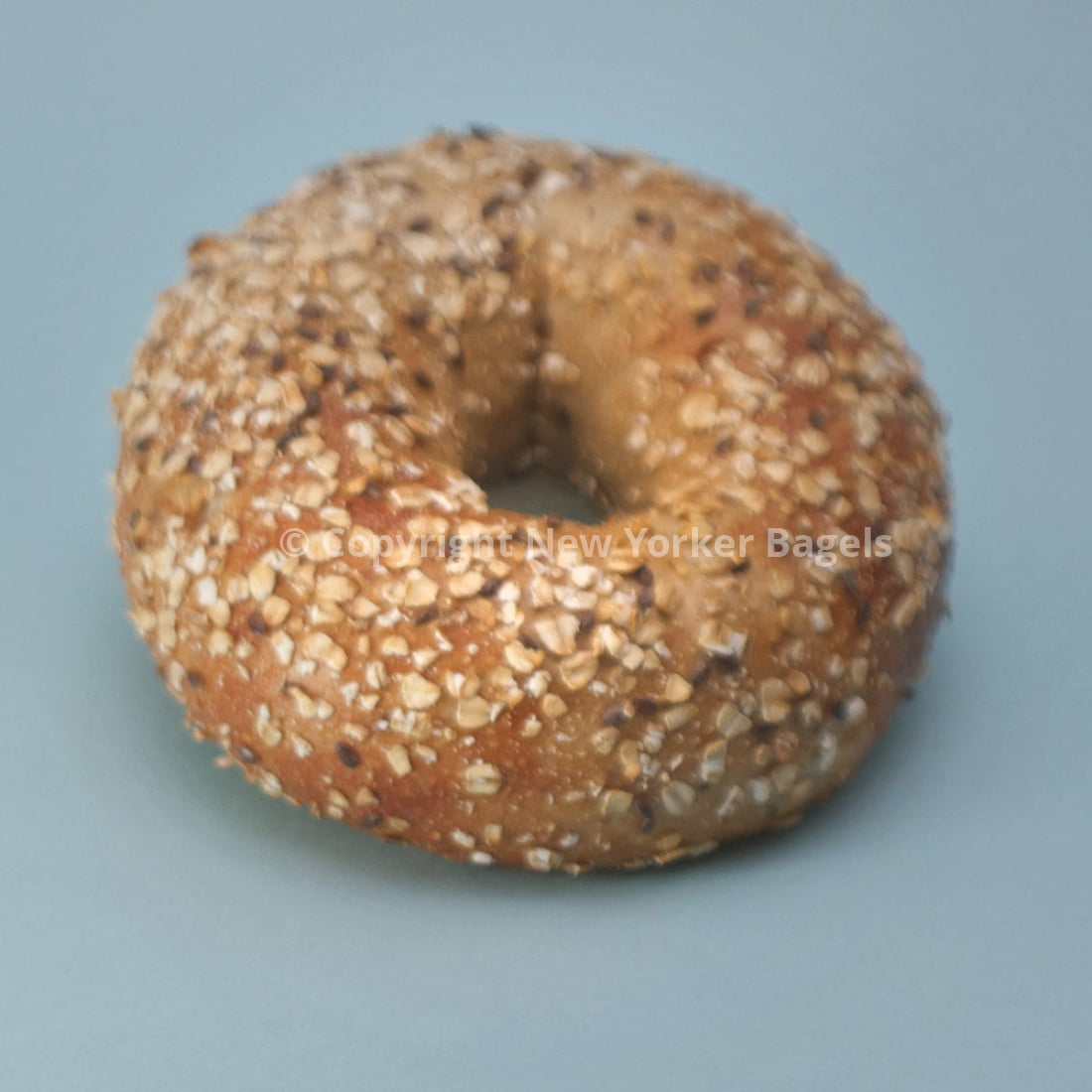 New York Quinoa Multigrain Bagels, Fresh Hand-Rolled NYC Bagels, Gift Box