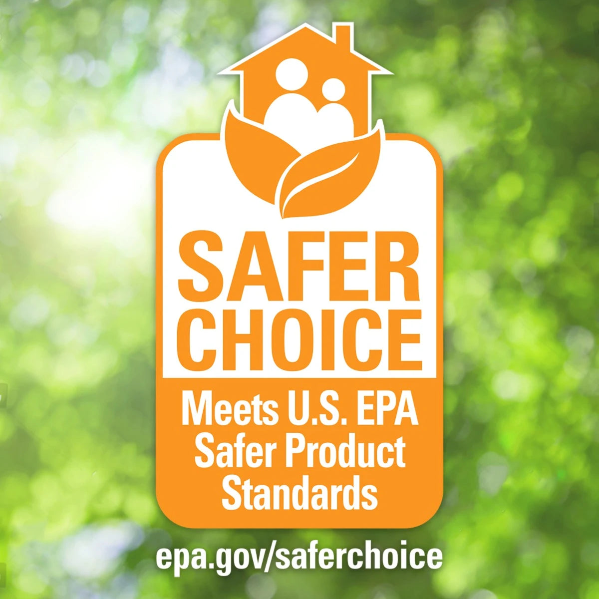 Biokleen Laundry Liquid: Cold Water Formula, Effective in All Temperatures, 64 Fl Oz