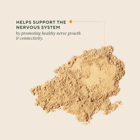 Beige mushroom powder with text about supporting the nervous system on a beige background