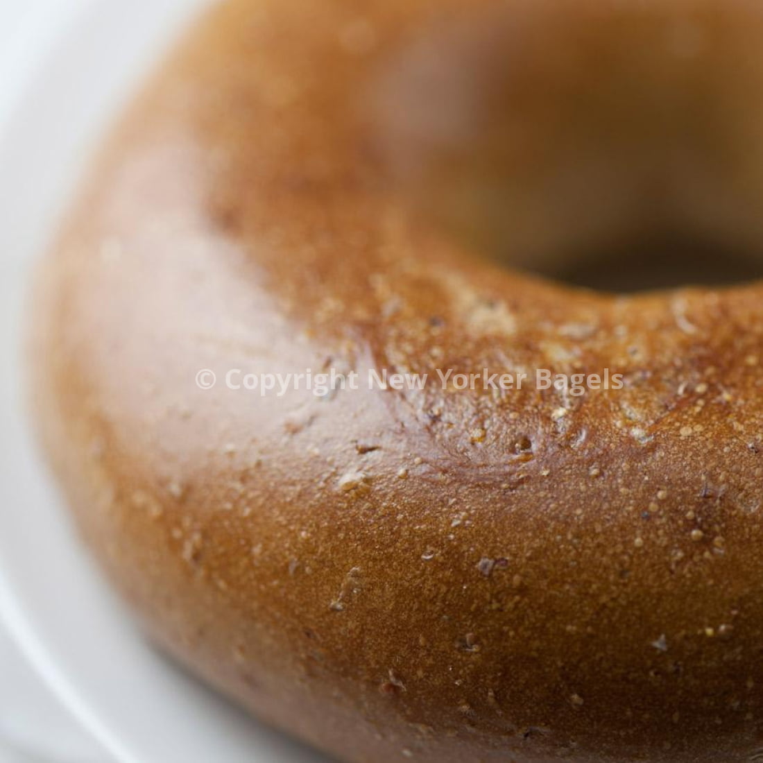 New York Whole Wheat Bagels, 2 Dozen, Fresh Hand-Rolled NYC Bagels