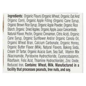 Earth's Best Sunny Days Apple Bars 4.69 Oz Pack of 6 - Cozy Farm 