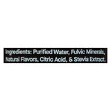 Blk Beverages Mineral Water Dirty Lemonade Case - Cozy Farm 