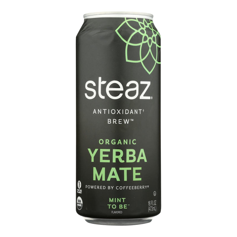 Steaz Yerba Mate Mnt2be, Case of 12 x 16 fl. oz. - Cozy Farm 