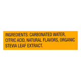 Zevia Kidz Natural Strawberry Lemonade Sparkling Water (4 x 6/7.5 Fl Oz) - Cozy Farm 