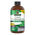 Nature's Answer Chlorophyll Liquid - Vitality Boost, 16 Fl Oz - Cozy Farm 