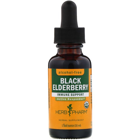 Herb Pharm Black Elderberry Glycerite - Immune Support, 1 Ounce - Cozy Farm 
