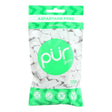 Pur Spearmint Gum, 2.72 Oz. (12-Pack) - Cozy Farm 