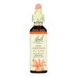 Bach Flower Essence Red Chestnut: Emotional Support for Loved Ones - 0.7 Fl Oz - Cozy Farm 