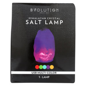 Evolution Salt Lamp  - USB Natural Multi-Color Changing - Cozy Farm 