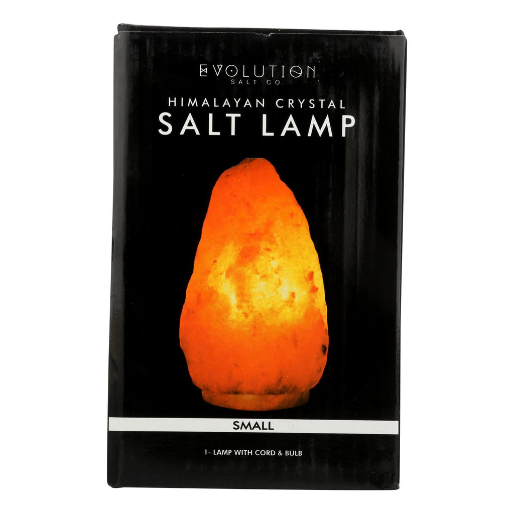 Pack of Evolution Salt Crystal Lamp - Natural (6 Lbs, 1 Count) - Cozy Farm 