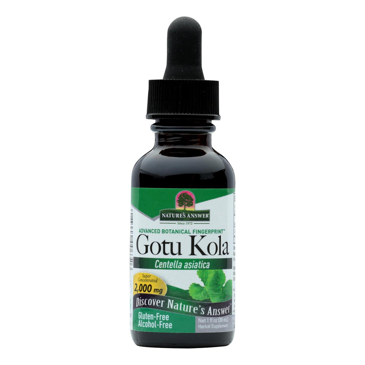 Nature's Answer Gotu Kola Herb Alcohol-Free Extract, 1 Fl Oz - Cozy Farm 