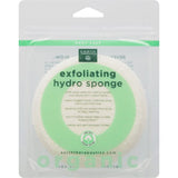 Earth Therapeutics Extra Large Reusable Sponge Cotton Rounds, Pack of 20 - Cozy Farm 